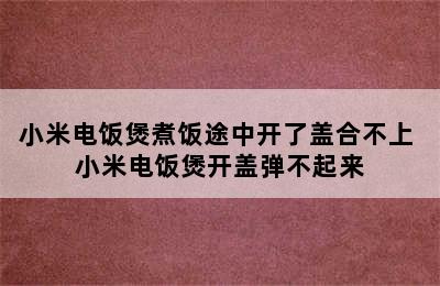 小米电饭煲煮饭途中开了盖合不上 小米电饭煲开盖弹不起来